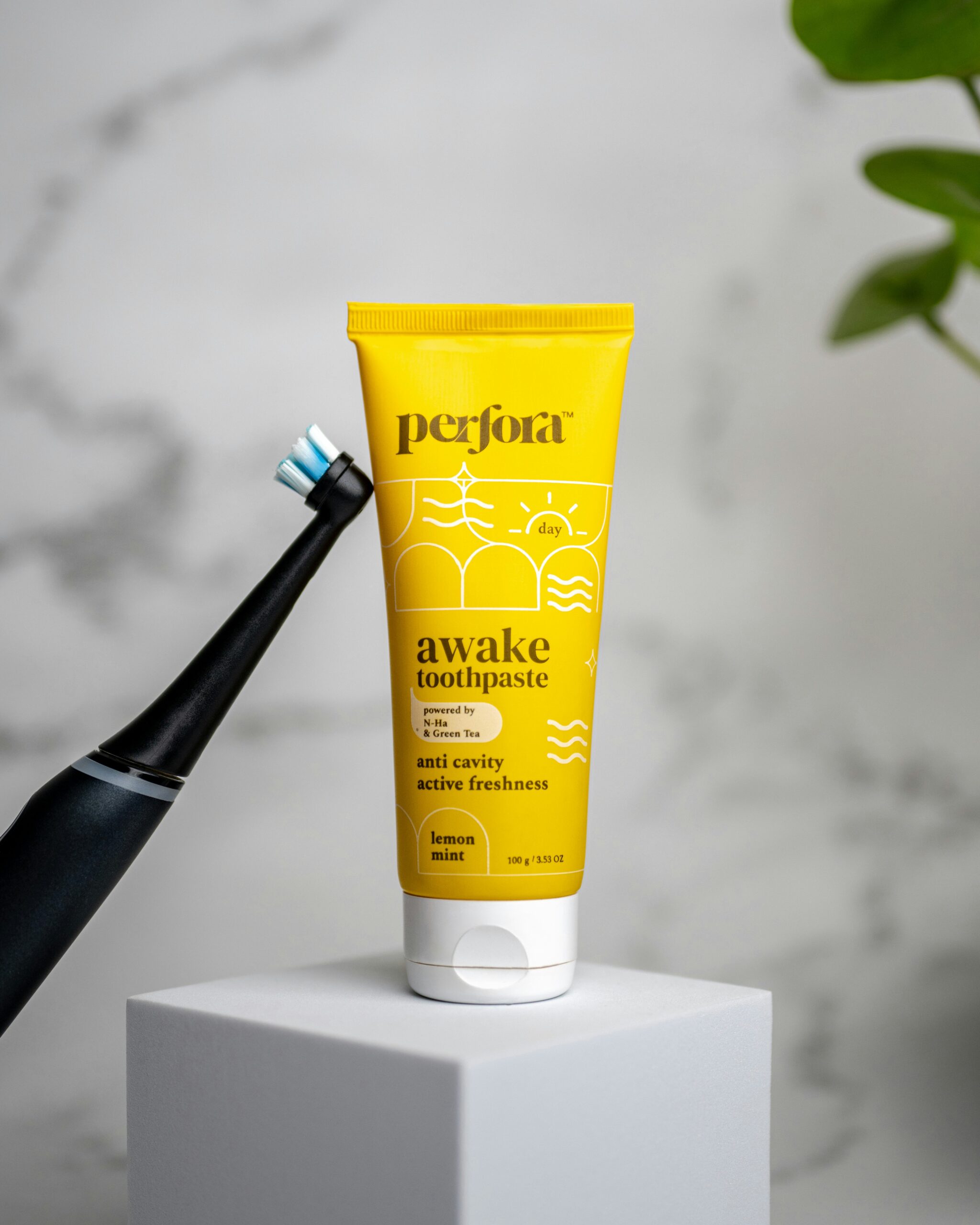 Preventing Teeth Problems: A Quiet Obsession Preventing Teeth Problems: A Quiet Obsession