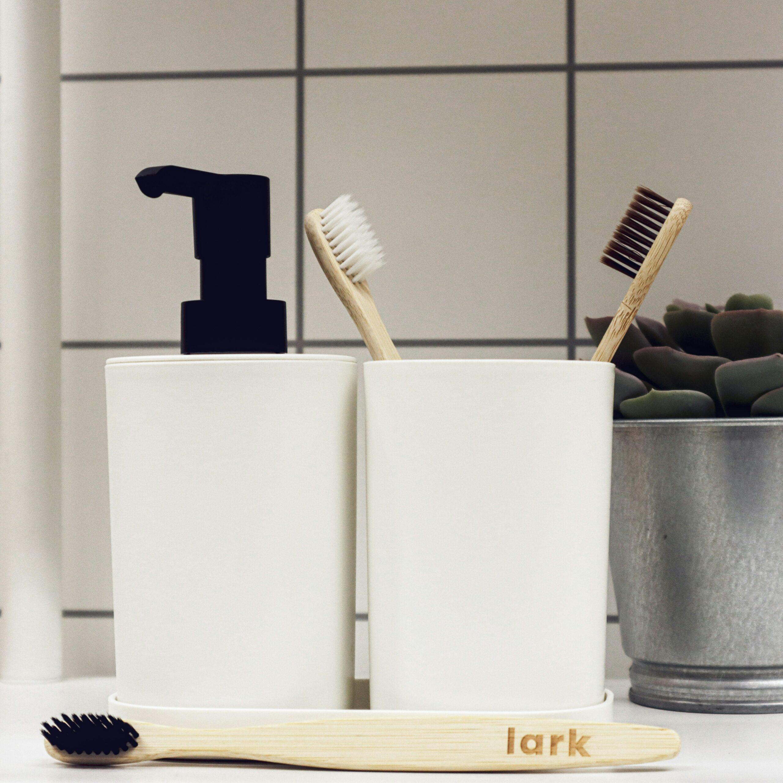 What Stops Gum Disease from Taking Root?