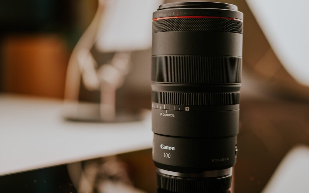 The Search for a Hearing Loss Cure