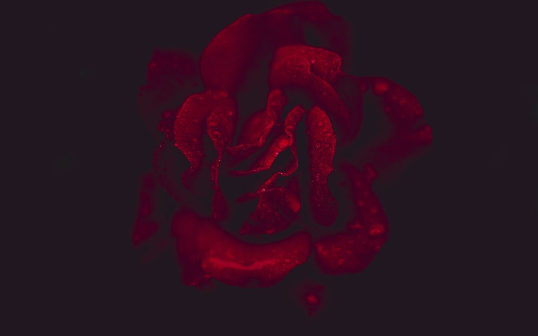 The Hidden Strength: Alpha GPC Benefits for Men